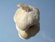 ail