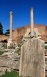 Foro Romano