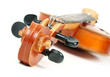 Violin isolated on white