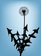 Dandelion silhouette