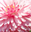 Pink flower