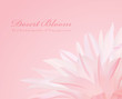 Floral background