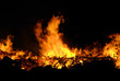 Hexenfeuer - Walpurgis Night bonfire 12