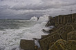 temporal IV