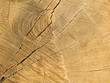 Holz-Hintergund Holz-Hintergund