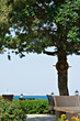 Photo: openair cafe at seaside openair cafe at seaside