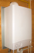 Gas boiler