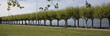 Alignement de platanes