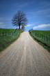 Photo: lonely road lonely road