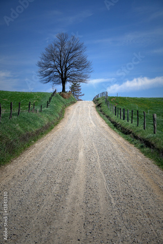 Photo: lonely road lonely road