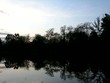 Tree shadows over the lake in the park. Tree shadows over the lake in the park.