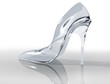 Glass slipper Glass slipper