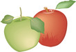 Äpfel