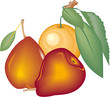 Birnen