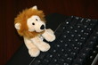 computer lion
