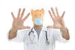Doctor with pig mask, swine flu metaphor