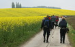 Wandern