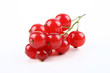 Rote Johannisbeeren