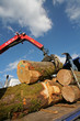grumes