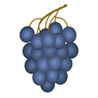 Traube blau