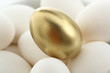das goldene Ei auf weissen Eiern