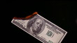 fire dollar