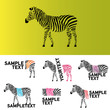 vector zebra illustration