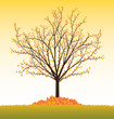 fall vector tree from seasonal set