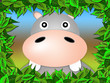 hippopotamus framed portrait of the leaves. cartoon style hippopotamus framed portrait of the leaves. cartoon style