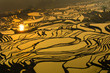 rice terraces of yuanyang,  yunnan, china