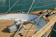 Drop the anchor