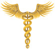 Gold Caduceus