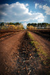 landscape with country road and cloudy sky