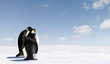 Penguin Love