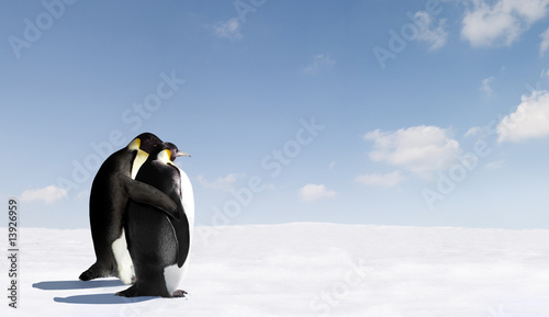 Photo: Penguin Love Penguin Love