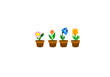 Fiori Primaverili