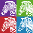 Zebra Set Zebra Set