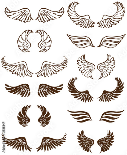 Vector: Angel Wing Set Angel Wing Set