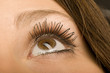 Foto: Auge Auge