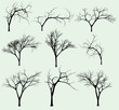 Set of silhouettes of trees