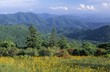 Blue Ridge Mountains in North Carolina