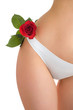 Body and flower-1