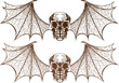 Winged Skull Winged Skull