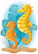Seahorse