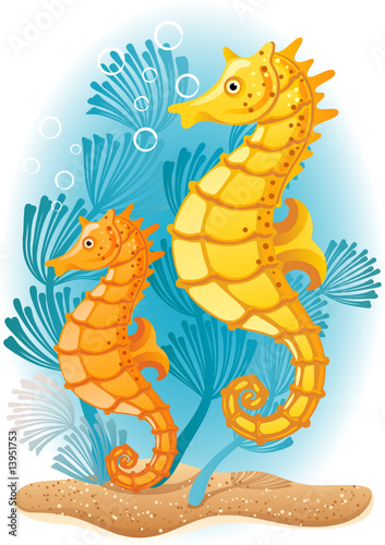 Vector: Seahorse Seahorse
