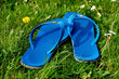 Claquettes dans l'herbe