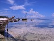 Boutre à zanzibar