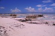 Boutre à zanzibar