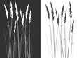 real grass silhouette - vector - two colors
