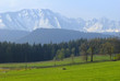 Mountains seen from Bukowina Mountains seen from Bukowina